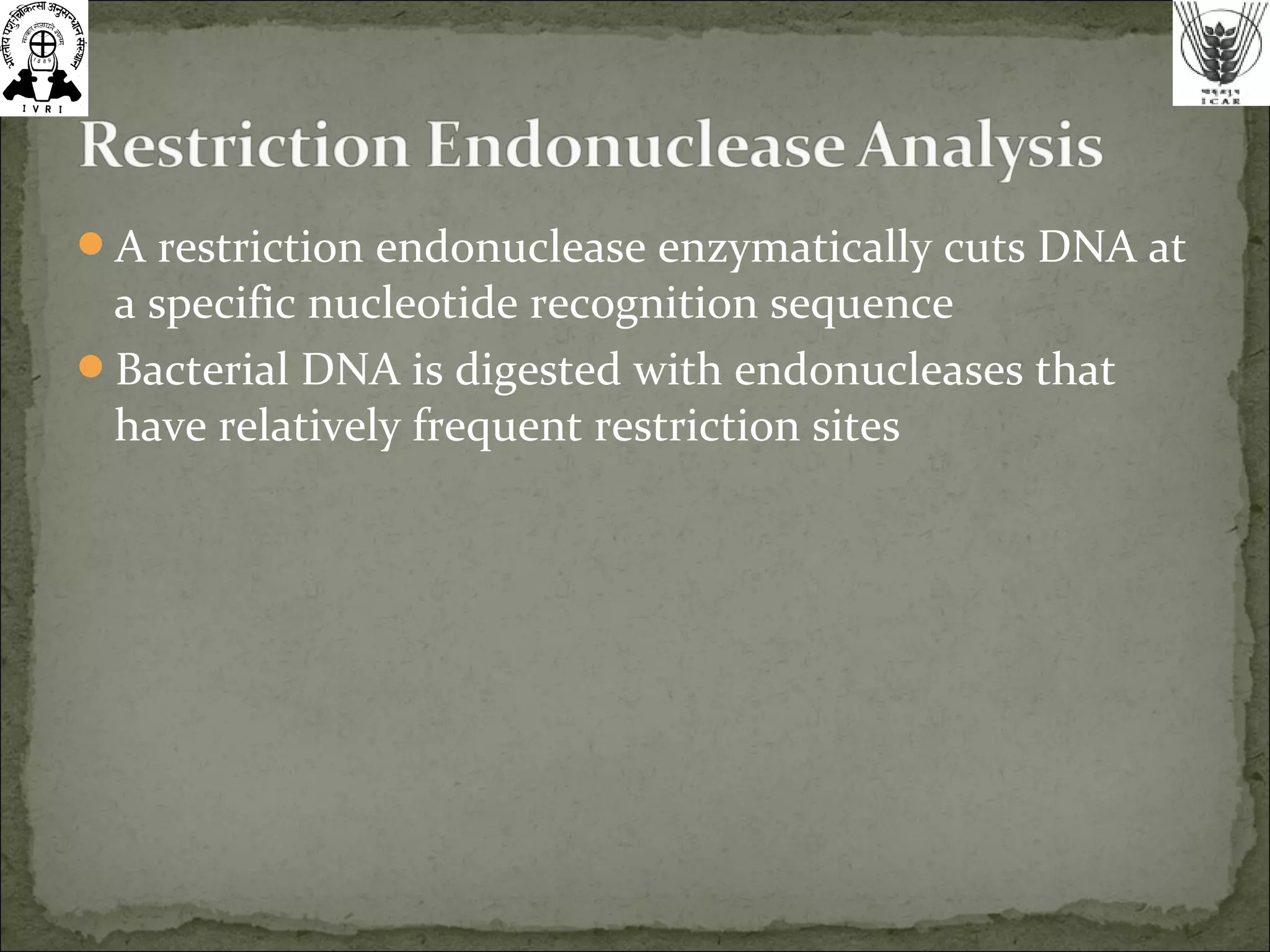 A restriction endonuclease enzymatically cuts DNA at
a specific nucleotide recognition sequence
Bacterial DNA is digested with endonucleases that
have relatively frequent restriction sites
 