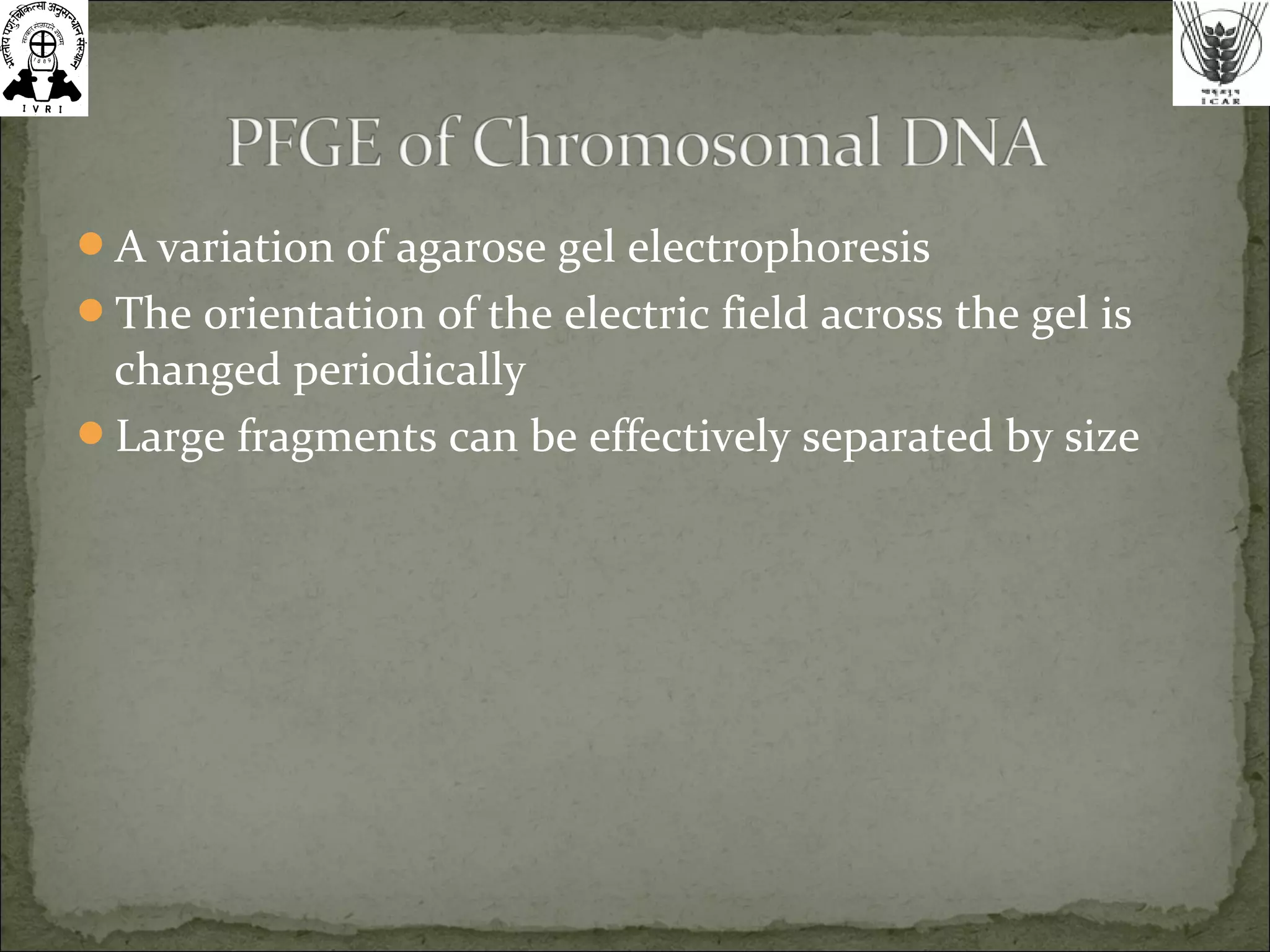 A variation of agarose gel electrophoresis
The orientation of the electric field across the gel is
changed periodically
Large fragments can be effectively separated by size
 