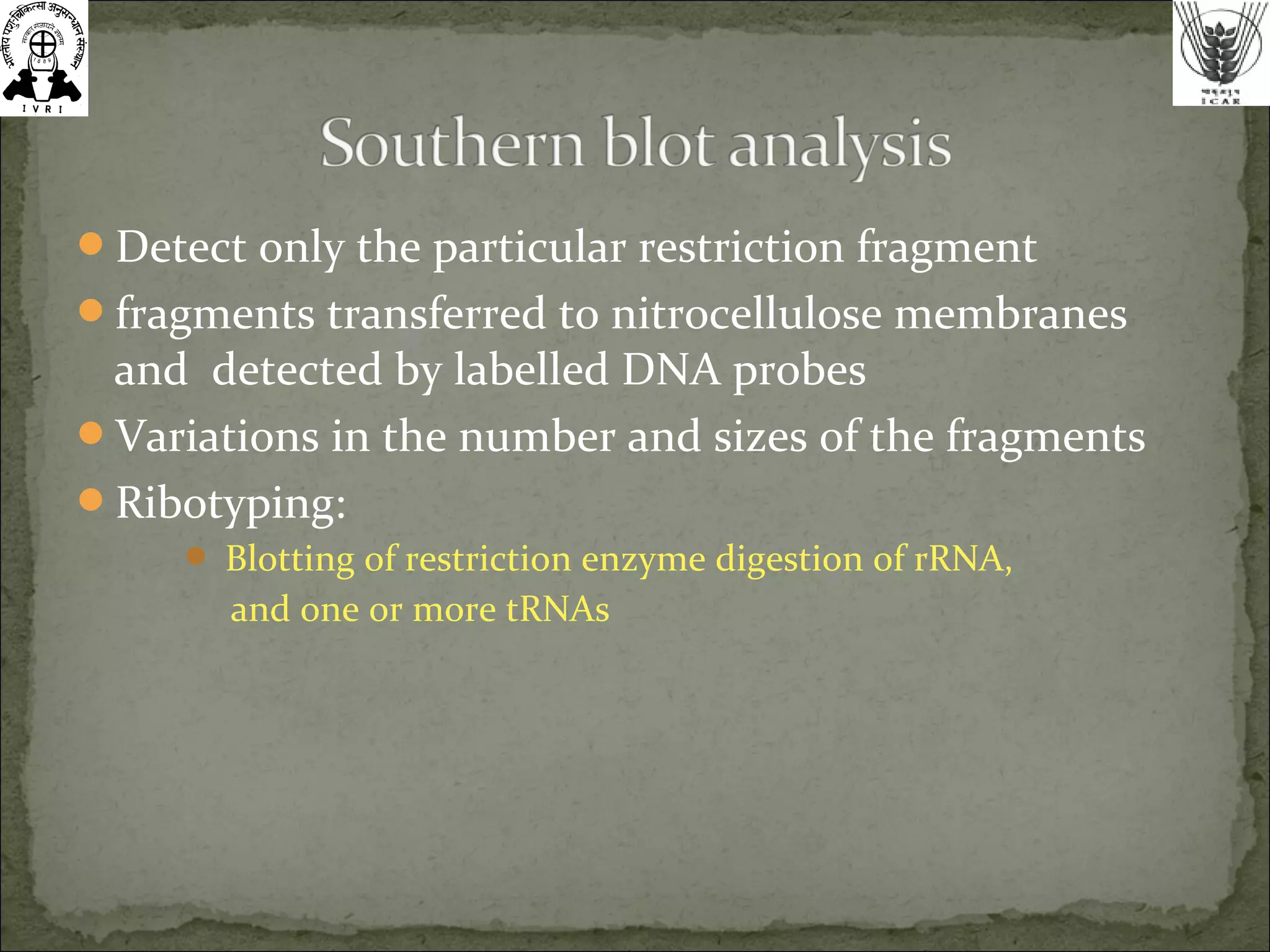 Detect only the particular restriction fragment
fragments transferred to nitrocellulose membranes
and detected by labelled DNA probes
Variations in the number and sizes of the fragments
Ribotyping:
 Blotting of restriction enzyme digestion of rRNA,
and one or more tRNAs
 