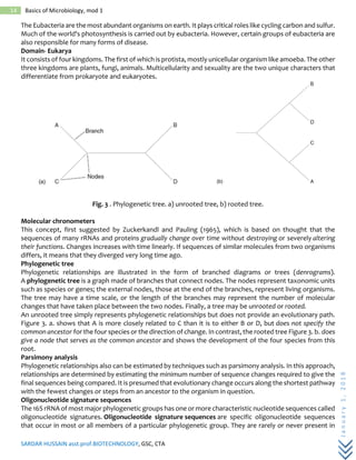 SARDAR HUSSAIN asst.prof.BIOTECHNOLOGY, GSC, CTA
January1,2018
14 Basics of Microbiology, mod 1
The Eubacteria are the most abundant organisms on earth. It plays critical roles like cycling carbon and sulfur.
Much of the world's photosynthesis is carried out by eubacteria. However, certain groups of eubacteria are
also responsible for many forms of disease.
Domain- Eukarya
It consists of four kingdoms. The first of which is protista, mostly unicellular organism like amoeba. The other
three kingdoms are plants, fungi, animals. Multicellularity and sexuality are the two unique characters that
differentiate from prokaryote and eukaryotes.
Fig. 3 . Phylogenetic tree. a) unrooted tree, b) rooted tree.
Molecular chronometers
This concept, first suggested by Zuckerkandl and Pauling (1965), which is based on thought that the
sequences of many rRNAs and proteins gradually change over time without destroying or severely altering
their functions. Changes increases with time linearly. If sequences of similar molecules from two organisms
differs, it means that they diverged very long time ago.
Phylogenetic tree
Phylogenetic relationships are illustrated in the form of branched diagrams or trees (denrograms).
A phylogenetic tree is a graph made of branches that connect nodes. The nodes represent taxonomic units
such as species or genes; the external nodes, those at the end of the branches, represent living organisms.
The tree may have a time scale, or the length of the branches may represent the number of molecular
changes that have taken place between the two nodes. Finally, a tree may be unrooted or rooted.
An unrooted tree simply represents phylogenetic relationships but does not provide an evolutionary path.
Figure 3. a. shows that A is more closely related to C than it is to either B or D, but does not specify the
common ancestor for the four species or the direction of change. In contrast, the rooted tree Figure 3. b. does
give a node that serves as the common ancestor and shows the development of the four species from this
root.
Parsimony analysis
Phylogenetic relationships also can be estimated by techniques such as parsimony analysis. In this approach,
relationships are determined by estimating the minimum number of sequence changes required to give the
final sequences being compared. It is presumed that evolutionary change occurs along the shortest pathway
with the fewest changes or steps from an ancestor to the organism in question.
Oligonucleotide signature sequences
The 16S rRNA of most major phylogenetic groups has one or more characteristic nucleotide sequences called
oligonucleotide signatures. Oligonucleotide signature sequences are specific oligonucleotide sequences
that occur in most or all members of a particular phylogenetic group. They are rarely or never present in
 