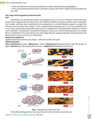 SARDAR HUSSAIN asst.prof.BIOTECHNOLOGY, GSC, CTA
January1,2018
17 Basics of Microbiology, mod 1
• Their cell walls most of the time contains the complex polysaccharide peptidoglycan.
• They usually divide by binary fission. During this process, the DNA is copied and the cell splits into
two cells.
Size, shape and arrangement of bacterial cells
Size:
Prokaryotes are among the smallest of all organisms (0.5 to 2.0 m m). Because of their small size,
bacteria have a large surface-to-volume ratio. The smallest member of the genus is about 0.3µm in diameter.
Even smaller cells have been reported like the nanobacteria or ultramicrobacteria appear to range from
around 0.2µm to not less than 0.05µm. E. coli , a bacillusof about average size is 1.1 to 1.5 µm wide by 2.0 to
6.0 µm long. Spirochaetes occasionally reach 500 µm in length and the cyanobacterium Oscillatoria is about
7 µm in diameter. The bacterium, Epulosiscium fishelsoni , can be seen with the naked eye (600 m m long by
80 m m in diameter). Thus a few bacteria are much larger than the average eukaryotic cell (typical plant and
animal cells are around 10 to 50 µm in diameter).
Shape and arrangement:
Typically bacteria have three basic shapes – spherical, rod like and spiral.
Spherical bacteria :
Coccus (pluralcocci ) in pairs– diplococcic; in chains– Streptococci (Streptococcus); in cube like groups of
eight– Sarcinae (Sarcina); in grape like structures– Staphylococci (Staphylococcus) (Fig.1)
Fig. 1. Arrangement of spherical cells
We shall be dealing with the structures internal to the cell wall of a bacterial cell.
 