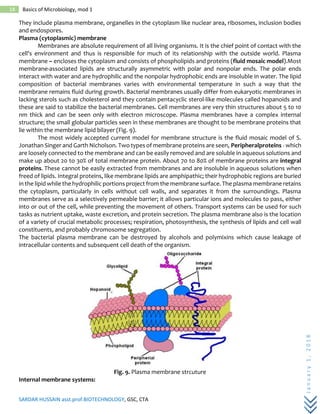 SARDAR HUSSAIN asst.prof.BIOTECHNOLOGY, GSC, CTA
January1,2018
18 Basics of Microbiology, mod 1
They include plasma membrane, organelles in the cytoplasm like nuclear area, ribosomes, inclusion bodies
and endospores.
Plasma (cytoplasmic) membrane
Membranes are absolute requirement of all living organisms. It is the chief point of contact with the
cell's environment and thus is responsible for much of its relationship with the outside world. Plasma
membrane – encloses the cytoplasm and consists of phospholipids and proteins (fluid mosaic model).Most
membrane-associated lipids are structurally asymmetric with polar and nonpolar ends. The polar ends
interact with water and are hydrophilic and the nonpolar hydrophobic ends are insoluble in water. The lipid
composition of bacterial membranes varies with environmental temperature in such a way that the
membrane remains fluid during growth. Bacterial membranes usually differ from eukaryotic membranes in
lacking sterols such as cholesterol and they contain pentacyclic sterol-like molecules called hopanoids and
these are said to stabilize the bacterial membranes. Cell membranes are very thin structures about 5 to 10
nm thick and can be seen only with electron microscope. Plasma membranes have a complex internal
structure; the small globular particles seen in these membranes are thought to be membrane proteins that
lie within the membrane lipid bilayer (Fig. 9).
The most widely accepted current model for membrane structure is the fluid mosaic model of S.
Jonathan Singer and Garth Nicholson. Two types of membrane proteins are seen, Peripheralproteins - which
are loosely connected to the membrane and can be easily removed and are soluble in aqueous solutions and
make up about 20 to 30% of total membrane protein. About 70 to 80% of membrane proteins are integral
proteins. These cannot be easily extracted from membranes and are insoluble in aqueous solutions when
freed of lipids. Integral proteins, like membrane lipids are amphipathic; their hydrophobic regions are buried
in the lipid while the hydrophilic portions project from the membrane surface. The plasma membrane retains
the cytoplasm, particularly in cells without cell walls, and separates it from the surroundings. Plasma
membranes serve as a selectively permeable barrier; it allows particular ions and molecules to pass, either
into or out of the cell, while preventing the movement of others. Transport systems can be used for such
tasks as nutrient uptake, waste excretion, and protein secretion. The plasma membrane also is the location
of a variety of crucial metabolic processes; respiration, photosynthesis, the synthesis of lipids and cell wall
constituents, and probably chromosome segregation.
The bacterial plasma membrane can be destroyed by alcohols and polymixins which cause leakage of
intracellular contents and subsequent cell death of the organism.
Fig. 9. Plasma membrane strcuture
Internal membrane systems:
 