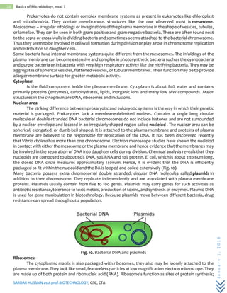 SARDAR HUSSAIN asst.prof.BIOTECHNOLOGY, GSC, CTA
January1,2018
19 Basics of Microbiology, mod 1
Prokaryotes do not contain complex membrane systems as present in eukaryotes like chloroplast
and mitochondria. They contain membranous structures like the one observed most is mesosome.
Mesosomes – irregular infoldings or invaginations of the plasma membrane in the shape of vesicles, tubules,
or lamellae. They can be seen in both gram positive and gram-negative bacteria. These are often found next
to the septa or cross-walls in dividing bacteria and sometimes seems attached to the bacterial chromosome.
Thus they seem to be involved in cell wall formation during division or play a role in chromosome replication
and distribution to daughter cells.
Some bacteria have internal membrane systems quite different from the mesosomes. The infoldings of the
plasma membrane can become extensive and complex in photosynthetic bacteria such as the cyanobacteria
and purple bacteria or in bacteria with very high respiratory activity like the nitrifying bacteria. They may be
aggregates of spherical vesicles, flattened vesicles, or tubular membranes. Their function may be to provide
a larger membrane surface for greater metabolic activity.
Cytoplasm
Is the fluid component inside the plasma membrane. Cytoplasm is about 80% water and contains
primarily proteins (enzymes), carbohydrates, lipids, inorganic ions and many low MW compounds. Major
structures in the cytoplasm are DNA, ribosomes and inclusions.
Nuclear area
The striking difference between prokaryotic and eukaryotic systems is the way in which their genetic
material is packaged. Prokaryotes lack a membrane-delimited nucleus. Contains a single long circular
molecule of double-stranded DNA bacterial chromosomes do not include histones and are not surrounded
by a nuclear envelope and located in an irregularly shaped region called nucleiod . The nuclear area can be
spherical, elongated, or dumb-bell shaped. It is attached to the plasma membrane and proteins of plasma
membrane are believed to be responsible for replication of the DNA. It has been discovered recently
that Vibrio cholera has more than one chromosome. Electron microscope studies have shown the nucleiod
in contact with either the mesosome or the plasma membrane and hence evidence that the membranes may
be involved in the separation of DNA into daughter cells during division. Chemical analysis reveals that they
nucleoids are composed to about 60% DNA, 30% RNA and 10% protein. E. coli, which is about 2 to 6um long,
the closed DNA circle measures approximately 1400um. Hence, it is evident that the DNA is efficiently
packaged to fit within the nucleoid and the DA is looped and coiled extensively (Fig. 10).
Many bacteria possess extra chromosomal double stranded, circular DNA molecules called plasmids in
addition to their chromosome. They replicate independently and are associated with plasma membrane
proteins. Plasmids usually contain from five to 100 genes. Plasmids may carry genes for such activities as
antibiotic resistance, tolerance to toxic metals, production of toxins, and synthesis of enzymes. Plasmid DNA
is used for gene manipulation in biotechnology. Because plasmids move between different bacteria, drug
resistance can spread throughout a population.
Fig. 10. Bacterial DNA and plasmids
Ribosomes:
The cytoplasmic matrix is also packaged with ribosomes, they also may be loosely attached to the
plasma membrane. They look like small, featureless particles at low magnification electron microscope. They
are made up of both protein and ribonucleic acid (RNA). Ribosome's function as sites of protein synthesis;
 