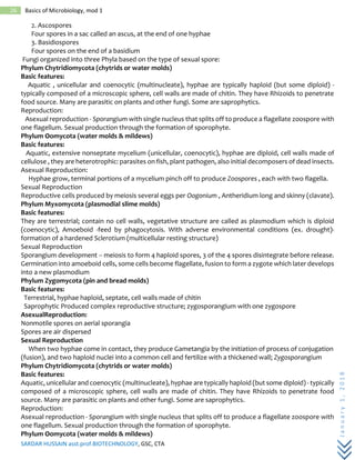 SARDAR HUSSAIN asst.prof.BIOTECHNOLOGY, GSC, CTA
January1,2018
26 Basics of Microbiology, mod 1
2. Ascospores
Four spores in a sac called an ascus, at the end of one hyphae
3. Basidiospores
Four spores on the end of a basidium
Fungi organized into three Phyla based on the type of sexual spore:
Phylum Chytridiomycota (chytrids or water molds)
Basic features:
Aquatic , unicellular and coenocytic (multinucleate), hyphae are typically haploid (but some diploid) -
typically composed of a microscopic sphere, cell walls are made of chitin. They have Rhizoids to penetrate
food source. Many are parasitic on plants and other fungi. Some are saprophytics.
Reproduction:
Asexual reproduction - Sporangium with single nucleus that splits off to produce a flagellate zoospore with
one flagellum. Sexual production through the formation of sporophyte.
Phylum Oomycota (water molds & mildews)
Basic features:
Aquatic, extensive nonseptate mycelium (unicellular, coenocytic), hyphae are diploid, cell walls made of
cellulose , they are heterotrophic: parasites on fish, plant pathogen, also initial decomposers of dead insects.
Asexual Reproduction:
Hyphae grow, terminal portions of a mycelium pinch off to produce Zoospores , each with two flagella.
Sexual Reproduction
Reproductive cells produced by meiosis several eggs per Oogonium , Antheridium long and skinny (clavate).
Phylum Myxomycota (plasmodial slime molds)
Basic features:
They are terrestrial; contain no cell walls, vegetative structure are called as plasmodium which is diploid
(coenocytic), Amoeboid -feed by phagocytosis. With adverse environmental conditions (ex. drought)-
formation of a hardened Sclerotium (multicellular resting structure)
Sexual Reproduction
Sporangium development -- meiosis to form 4 haploid spores, 3 of the 4 spores disintegrate before release.
Germination into amoeboid cells, some cells become flagellate, fusion to form a zygote which later develops
into a new plasmodium
Phylum Zygomycota (pin and bread molds)
Basic features:
Terrestrial, hyphae haploid, septate, cell walls made of chitin
Saprophytic Produced complex reproductive structure; zygosporangium with one zygospore
AsexualReproduction:
Nonmotile spores on aerial sporangia
Spores are air dispersed
Sexual Reproduction
When two hyphae come in contact, they produce Gametangia by the initiation of process of conjugation
(fusion), and two haploid nuclei into a common cell and fertilize with a thickened wall; Zygosporangium
Phylum Chytridiomycota (chytrids or water molds)
Basic features:
Aquatic, unicellular and coenocytic (multinucleate), hyphae are typically haploid (but some diploid) - typically
composed of a microscopic sphere, cell walls are made of chitin. They have Rhizoids to penetrate food
source. Many are parasitic on plants and other fungi. Some are saprophytics.
Reproduction:
Asexual reproduction - Sporangium with single nucleus that splits off to produce a flagellate zoospore with
one flagellum. Sexual production through the formation of sporophyte.
Phylum Oomycota (water molds & mildews)
 