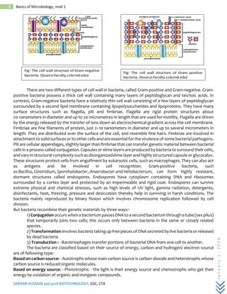 SARDAR HUSSAIN asst.prof.BIOTECHNOLOGY, GSC, CTA
January1,2018
6 Basics of Microbiology, mod 1
There are two different types of cell wall in bacteria, called Gram-positive and Gram-negative. Gram-
positive bacteria possess a thick cell wall containing many layers of peptidoglycan and teichoic acids. In
contrast, Gram-negative bacteria have a relatively thin cell wall consisting of a few layers of peptidoglycan
surrounded by a second lipid membrane containing lipopolysaccharides and lipoproteins. They have many
surface structures such as flagella, pili and fimbriae. Flagella are rigid protein structures about
20 nanometers in diameter and up to 20 micrometres in length that are used for motility. Flagella are driven
by the energy released by the transfer of ions down an electrochemical gradient across the cell membrane.
Fimbriae are fine filaments of protein, just 2–10 nanometers in diameter and up to several micrometers in
length. They are distributed over the surface of the cell, and resemble fine hairs. Fimbriae are involved in
attachment to solid surfaces or to other cells and are essential for the virulence of some bacterial pathogens.
Pili are cellular appendages, slightly larger than fimbriae that can transfer genetic material between bacterial
cells in a process called conjugation. Capsules or slime layers are produced by bacteria to surround their cells,
and vary in structural complexity such as disorganizedslime layer and highly structured capsule or glycocalyx.
These structures protect cells from engulfment by eukaryotic cells, such as macrophages. They can also act
as antigens and be involved in cell recognition. Gram-positive bacteria, such
as Bacillus, Clostridium, Sporohalobacter, Anaerobacter and Heliobacterium, can form highly resistant,
dormant structures called endospores. Endospores have cytoplasm containing DNA and ribosomes
surrounded by a cortex layer and protected by an impermeable and rigid coat. Endospores can survive
extreme physical and chemical stresses, such as high levels of UV light, gamma radiation, detergents,
disinfectants, heat, freezing, pressure and desiccation thereby help in surviving in harsh conditions. The
bacteria mainly reproduced by binary fission which involves chromosome replication followed by cell
division.
But bacteria recombine their genetic materials by three ways:-
1) Conjugation occurs when a bacterium passes DNA to a second bacterium through a tube (sex pilus)
that temporarily joins two cells; this occurs only between bacteria in the same or closely related
species.
2) Transformation involves bacteria taking up free pieces of DNA secreted by live bacteria or released
by dead bacteria.
3) Transduction : - Bacteriophages transfer portions of bacterial DNA from one cell to another.
The bacteria are classified based on their source of energy, carbon and hydrogen/ electron source
are of following type:-
Based on carbon source: - Autotrophs whose main carbon source is carbon dioxide and heterotrophs whose
carbon source is reduced organic molecules.
Based on energy source: - Phototrophs: - the light is their energy source and chemotrophs who get their
energy by oxidation of organic and inorganic compounds.
 