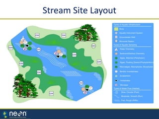 Stream Site Layout
 