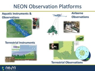 NEON Observation Platforms
Airborne
Observations
Terrestrial Instruments
Terrestrial Observations
Aquatic Instruments &
Observations
 