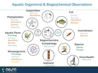 Aquatic Organismal & Biogeochemical Observations
Biomass
Species
% Cover
Abundance
Biomass
Chemistry
Abundance
Biomass
Chemistry
Biogeochemistry
Ecohydrology
Pools/fluxes
Invertebrates
Phytoplankton
Aquatic Plants Diversity
Phenology
Diversity
Diversity
Riparian
Microorganisms
Zooplankton
Abundance
Biomass
Fish
Density
Diversity
Abundance
Diversity
Phenology
Diversity
Abundance
Function
Sediment
Chemistry
Groundwater
Chemistry
 