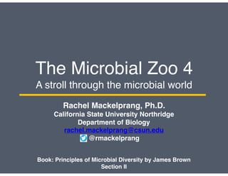 The Microbial Zoo 4
A stroll through the microbial world
Rachel Mackelprang, Ph.D.
California State University Northridge
Department of Biology
rachel.mackelprang@csun.edu
@rmackelprang
Book: Principles of Microbial Diversity by James Brown
Section II
 