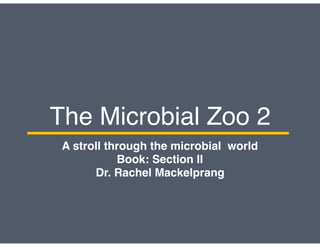 The Microbial Zoo 2
A stroll through the microbial world
Book: Section II
Dr. Rachel Mackelprang
 