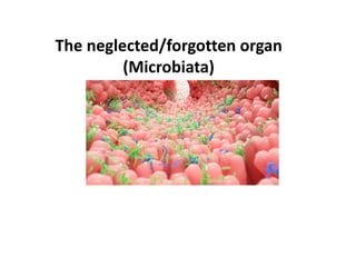 The neglected/forgotten organ
(Microbiata)
 