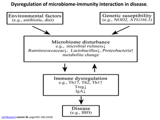 Dysregulation of microbiome-immunity interaction in disease.
Cell Research volume 30, pages492–506 (2020)
 