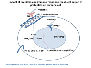 Impact of prebiotics on immune response:the direct action of
prebiotics on immune cel
Immunology & Cell Biology, Volume: 99, Issue: 3, Pages: 255-273, First published: 30 September 2020, DOI: (10.1111/imcb.12409)
 