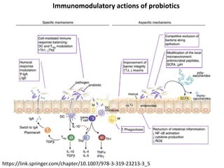 https://link.springer.com/chapter/10.1007/978-3-319-23213-3_5
Immunomodulatory actions of probiotics
 