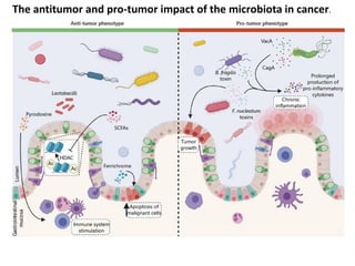 The antitumor and pro-tumor impact of the microbiota in cancer.
 