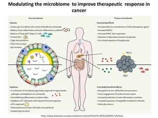 Modulating the microbiome to improve therapeutic response in
cancer
https://www.thelancet.com/journals/lanonc/article/PIIS1470-2045(18)30952-5/fulltext
 