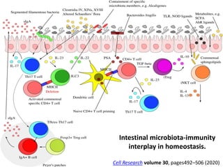 Intestinal microbiota-immunity
interplay in homeostasis.
Cell Research volume 30, pages492–506 (2020)
 