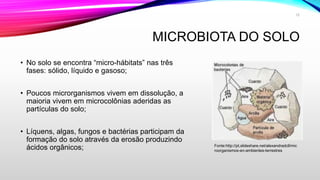 MICROBIOTA DO SOLO
• No solo se encontra “micro-hábitats” nas três
fases: sólido, líquido e gasoso;
• Poucos microrganismos vivem em dissolução, a
maioria vivem em microcolônias aderidas as
partículas do solo;
• Líquens, algas, fungos e bactérias participam da
formação do solo através da erosão produzindo
ácidos orgânicos; Fonte:http://pt.slideshare.net/alexandradcll/mic
roorganismos-en-ambientes-terrestres
12
 