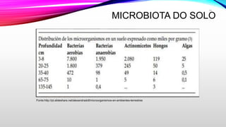 MICROBIOTA DO SOLO
Fonte:http://pt.slideshare.net/alexandradcll/microorganismos-en-ambientes-terrestres
14
 