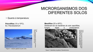 • Quanto à temperatura:
MICRORGANISMOS DOS
DIFERENTES SOLOS
Psicrófilos (10 a 15ºC).
Ex: Flavobacterium
Mesófilos (25 a 40ºC).
Destacam-se as bactérias do solo saprófitas,
fungos, algas e protozoários.
Figura ?- Deserto gelado do polo norte.
Fonte:
http://meioambiente.culturamix.com/nature
za/deserto-gelado-do-polo-norte
Fonte:
https://www.agencia.cnptia.embrapa.br/ges
tor/agricultura_e_meio_ambiente/arvore/C
ONTAG01_53_210200792814.html
Figura ?- Bactérias do gênero Pseudomonas.
17
 