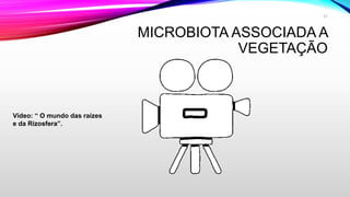 MICROBIOTA ASSOCIADA A
VEGETAÇÃO
Vídeo: “ O mundo das raízes
e da Rizosfera”.
21
 