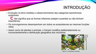 INTRODUÇÃO
• Evolução na terra modelou o desenvolvimento das categorias taxonômicas
superiores
não significa que as formas inferiores estejam ausentes ou não tenham
importância;
• Os microrganismos desempenham em todos os ecossistemas as mesmas funções
vitais;
• Assim como de plantas e animais, o homem modifica deliberadamente ou
inconscientemente a distribuição geográfica dos micróbios.
3
Figura 2- Ecossistema Terrestre.
Fonte:
http://queconceito.com.br/ecossist
ema-terrestre
 