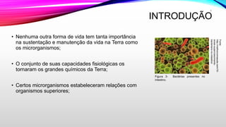 INTRODUÇÃO
• Nenhuma outra forma de vida tem tanta importância
na sustentação e manutenção da vida na Terra como
os microrganismos;
• O conjunto de suas capacidades fisiológicas os
tornaram os grandes químicos da Terra;
• Certos microrganismos estabeleceram relações com
organismos superiores;
4
Figura 3- Bactérias presentes no
intestino.
Fonte:
http://melhorcomsaude.com/10-
sinais-supercrescimento-
bacteriano-no-intestino/
 