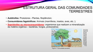 ESTRUTURA GERAL DAS COMUNIDADES
TERRESTRES
• Autótrofos: Produtores - Plantas, fitoplâncton;
• Consumidores fagotróficos: Animais (mamíferos, insetos, aves, etc. );
• Saprótrofos ou microconsumidores: organismos que realizam a mineralização
da matéria orgânica – bactérias, fungos, protozoários;
5
Figura 4- Comunidades terrestres.
Fonte:
http://www.hidro.ufcg.edu.br/twiki/pub/Ci
enciasAmbienteAndrea/MaterialDaDisci
plina/Aula5_2012_Ecossistemas.pdf
 