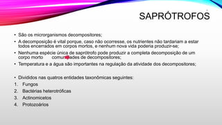 SAPRÓTROFOS
• São os microrganismos decompositores;
• A decomposição é vital porque, caso não ocorresse, os nutrientes não tardariam a estar
todos encerrados em corpos mortos, e nenhum nova vida poderia produzir-se;
• Nenhuma espécie única de saprótrofo pode produzir a completa decomposição de um
corpo morto comunidades de decompositores;
• Temperatura e a água são importantes na regulação da atividade dos decompositores;
• Divididos nas quatros entidades taxonômicas seguintes:
1. Fungos
2. Bactérias heterotróficas
3. Actinomicetos
4. Protozoários
6
 