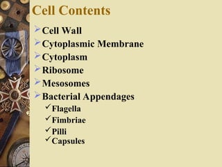 Cell Contents
Cell Wall
Cytoplasmic Membrane
Cytoplasm
Ribosome
Mesosomes
Bacterial Appendages
Flagella
Fimbriae
Pilli
Capsules
 
