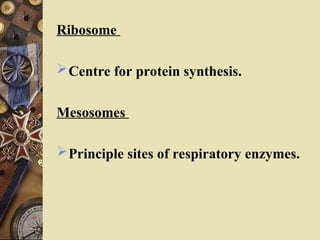 Ribosome
Centre for protein synthesis.
Mesosomes
Principle sites of respiratory enzymes.
 