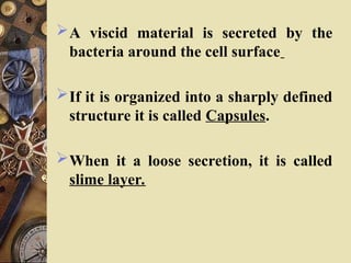 A viscid material is secreted by the
bacteria around the cell surface
If it is organized into a sharply defined
structure it is called Capsules.
When it a loose secretion, it is called
slime layer.
 