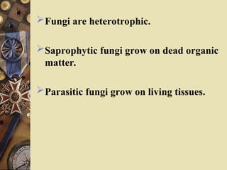 Fungi are heterotrophic.
Saprophytic fungi grow on dead organic
matter.
Parasitic fungi grow on living tissues.
 