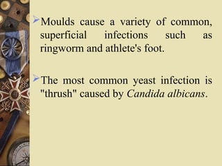 Moulds cause a variety of common,
superficial infections such as
ringworm and athlete's foot.
The most common yeast infection is
"thrush" caused by Candida albicans.
 