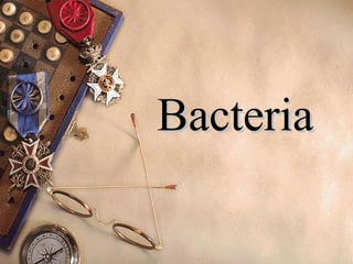 Bacteria
Bacteria
 