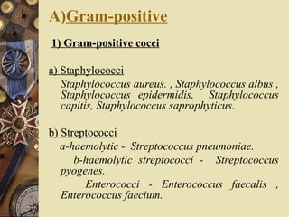 A)Gram-positive
1) Gram-positive cocci
a) Staphylococci
Staphylococcus aureus. , Staphylococcus albus ,
Staphylococcus epidermidis, Staphylococcus
capitis, Staphylococcus saprophyticus.
b) Streptococci
a-haemolytic - Streptococcus pneumoniae.
b-haemolytic streptococci - Streptococcus
pyogenes.
Enterococci - Enterococcus faecalis ,
Enterococcus faecium.
 