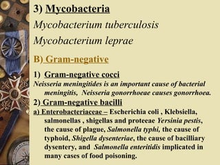 3) Mycobacteria
Mycobacterium tuberculosis
Mycobacterium leprae
B) Gram-negative
1) Gram-negative cocci
Neisseria meningitides is an important cause of bacterial
meningitis, Neisseria gonorrhoeae causes gonorrhoea.
2) Gram-negative bacilli
a) Enterobacteriaceae – Escherichia coli , Klebsiella,
salmonellas , shigellas and proteeae Yersinia pestis,
the cause of plague, Salmonella typhi, the cause of
typhoid, Shigella dysenteriae, the cause of bacilliary
dysentery, and Salmonella enteritidis implicated in
many cases of food poisoning.
 