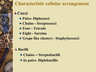 Characteristic cellular arrangement
Cocci
Pairs- Diplococci
Chains - Streptococci
Four - Tetrads
Eight - Sarcina
Grape like clusters - Staphyloccocci
Bacilli
Chains – Streptobacilli
In pairs- Diplobacillis
 