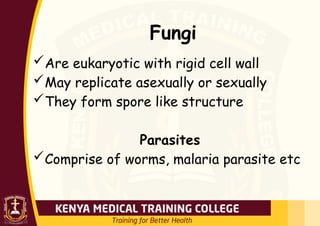 Fungi
Are eukaryotic with rigid cell wall
May replicate asexually or sexually
They form spore like structure
Parasites
Comprise of worms, malaria parasite etc
 
