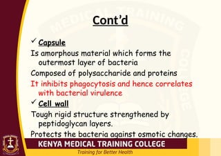 Cont’d
 Capsule
Is amorphous material which forms the
outermost layer of bacteria
Composed of polysaccharide and proteins
It inhibits phagocytosis and hence correlates
with bacterial virulence
 Cell wall
Tough rigid structure strengthened by
peptidoglycan layers.
Protects the bacteria against osmotic changes.
 