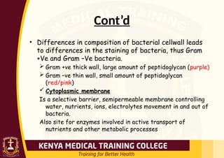 Cont’d
• Differences in composition of bacterial cellwall leads
to differences in the staining of bacteria, thus Gram
+Ve and Gram –Ve bacteria.
 Gram +ve thick wall, large amount of peptidoglycan (purple)
 Gram –ve thin wall, small amount of peptidoglycan
(red/pink)
 Cytoplasmic membrane
Is a selective barrier, semipermeable membrane controlling
water, nutrients, ions, electrolytes movement in and out of
bacteria.
Also site for enzymes involved in active transport of
nutrients and other metabolic processes
 