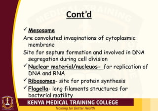 Cont’d
Mesosome
Are convoluted invaginations of cytoplasmic
membrane
Site for septum formation and involved in DNA
segregation during cell division
Nuclear material/nucleuos- for replication of
DNA and RNA
Ribosomes- site for protein synthesis
Flagella- long filaments structures for
bacterial motility
 