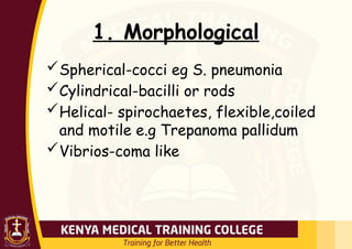 1. Morphological
Spherical-cocci eg S. pneumonia
Cylindrical-bacilli or rods
Helical- spirochaetes, flexible,coiled
and motile e.g Trepanoma pallidum
Vibrios-coma like
 