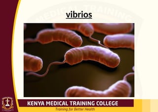 vibrios
 