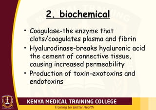 2. biochemical
• Coagulase-the enzyme that
clots/coagulates plasma and fibrin
• Hyalurodinase-breaks hyaluronic acid
the cement of connective tissue,
causing increased permeability
• Production of toxin-exotoxins and
endotoxins
 