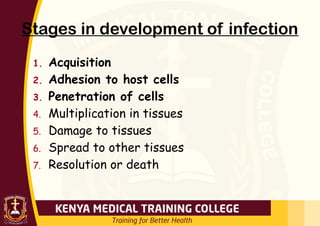 Stages in development of infection
1. Acquisition
2. Adhesion to host cells
3. Penetration of cells
4. Multiplication in tissues
5. Damage to tissues
6. Spread to other tissues
7. Resolution or death
 