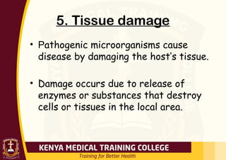 5. Tissue damage
• Pathogenic microorganisms cause
disease by damaging the host’s tissue.
• Damage occurs due to release of
enzymes or substances that destroy
cells or tissues in the local area.
 