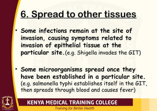 6. Spread to other tissues
• Some infections remain at the site of
invasion, causing symptoms related to
invasion of epithelial tissue at the
particular site.(e.g. Shigella invades the GIT)
• Some microorganisms spread once they
have been established in a particular site.
(e.g. salmonella typhi establishes itself in the GIT,
then spreads through blood and causes fever)
 