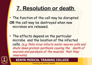 7. Resolution or death
• The function of the cell may be disrupted
OR the cell may be destroyed when new
microbes are released.
• The effects depend on the particular
microbe and the location of the infected
cells. (e.g. Polio virus infects motor neuron cells and
shuts down protein synthesis causing the death of
neurons and paralysis of the muscles that they
innervate)
 