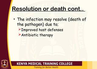 Resolution or death cont..
• The infection may resolve (death of
the pathogen) due to;
Improved host defenses
Antibiotic therapy
 